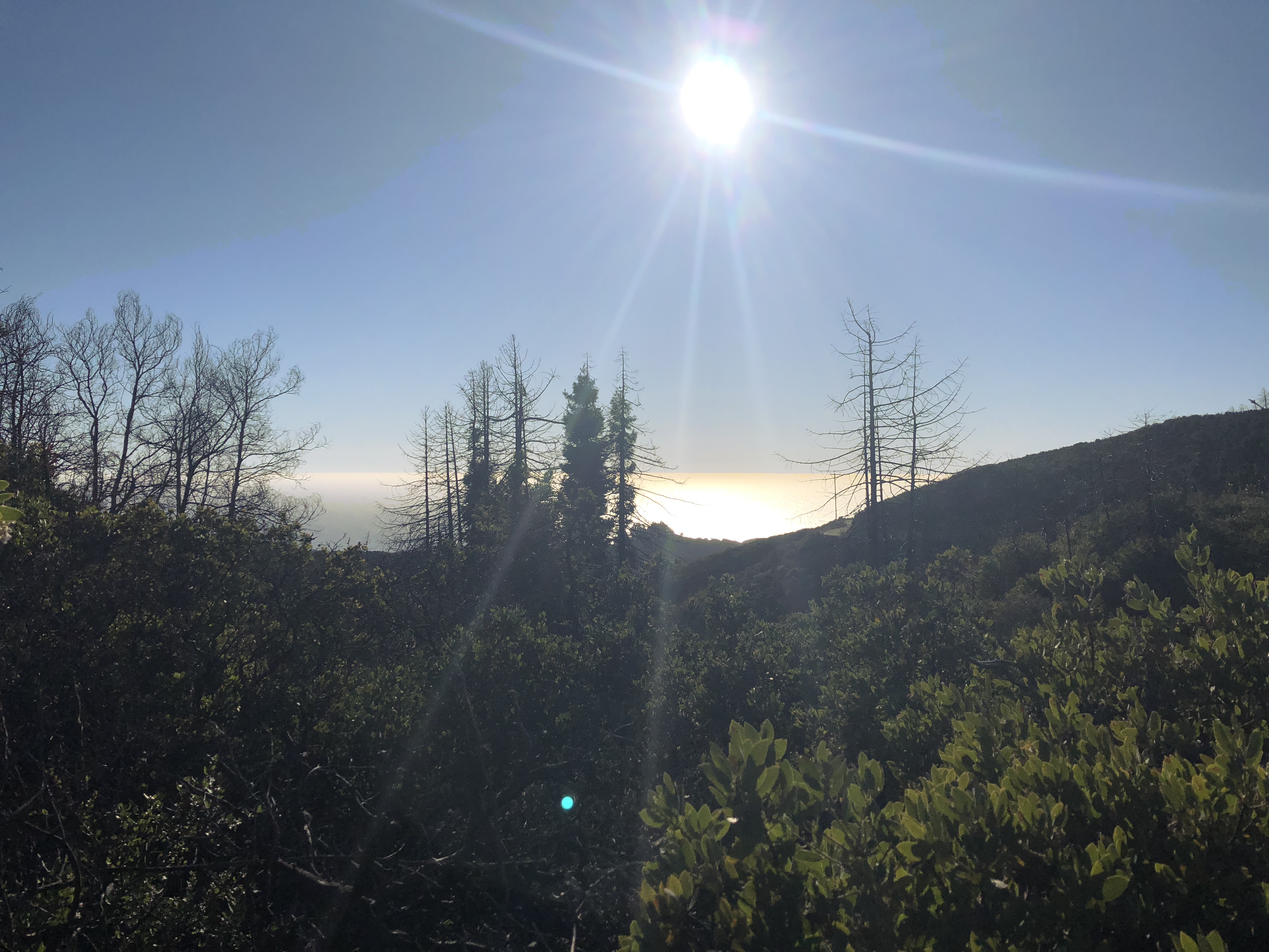 The view from Buzzard's Roost Trail