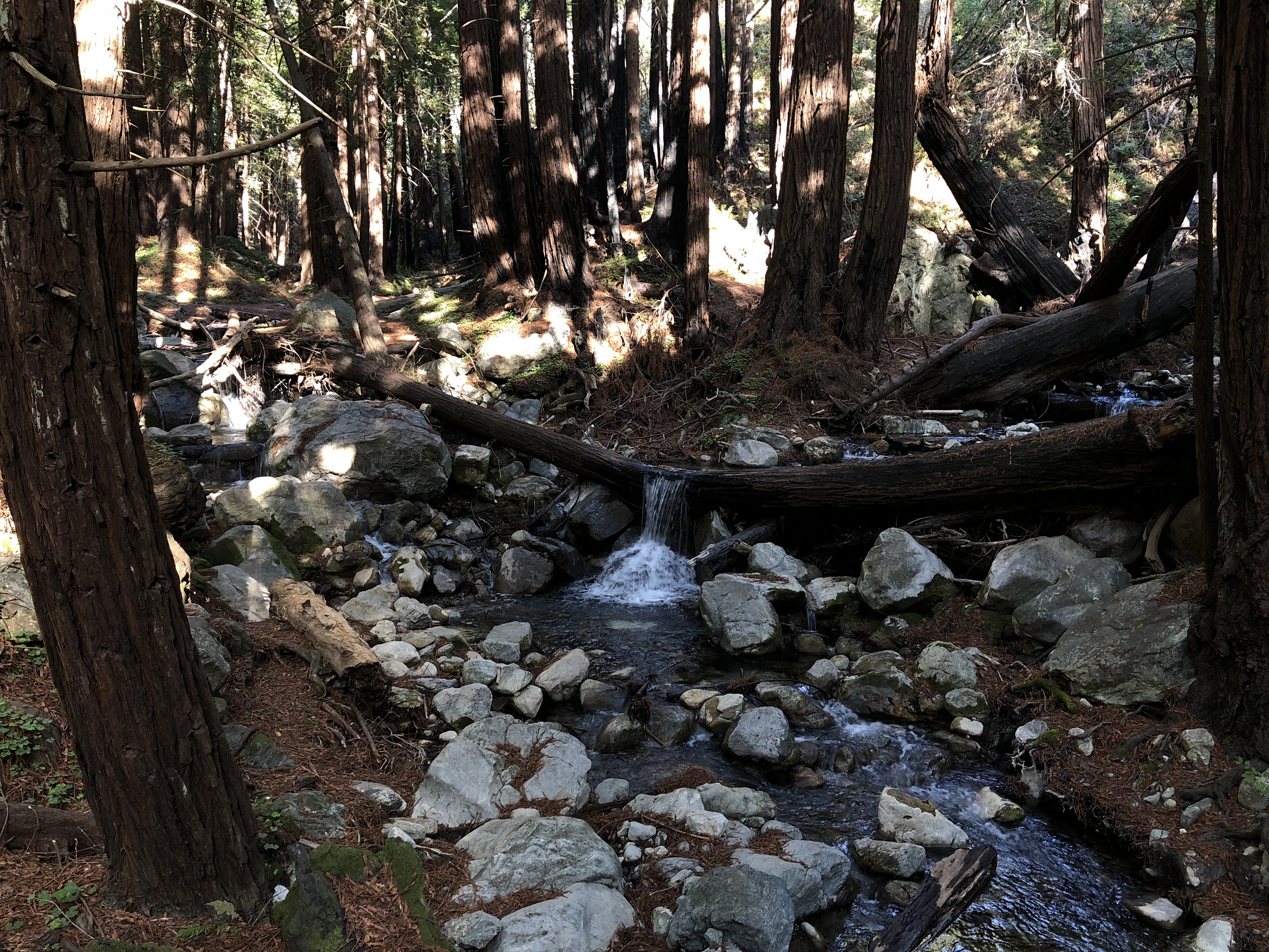 Water falling over a log