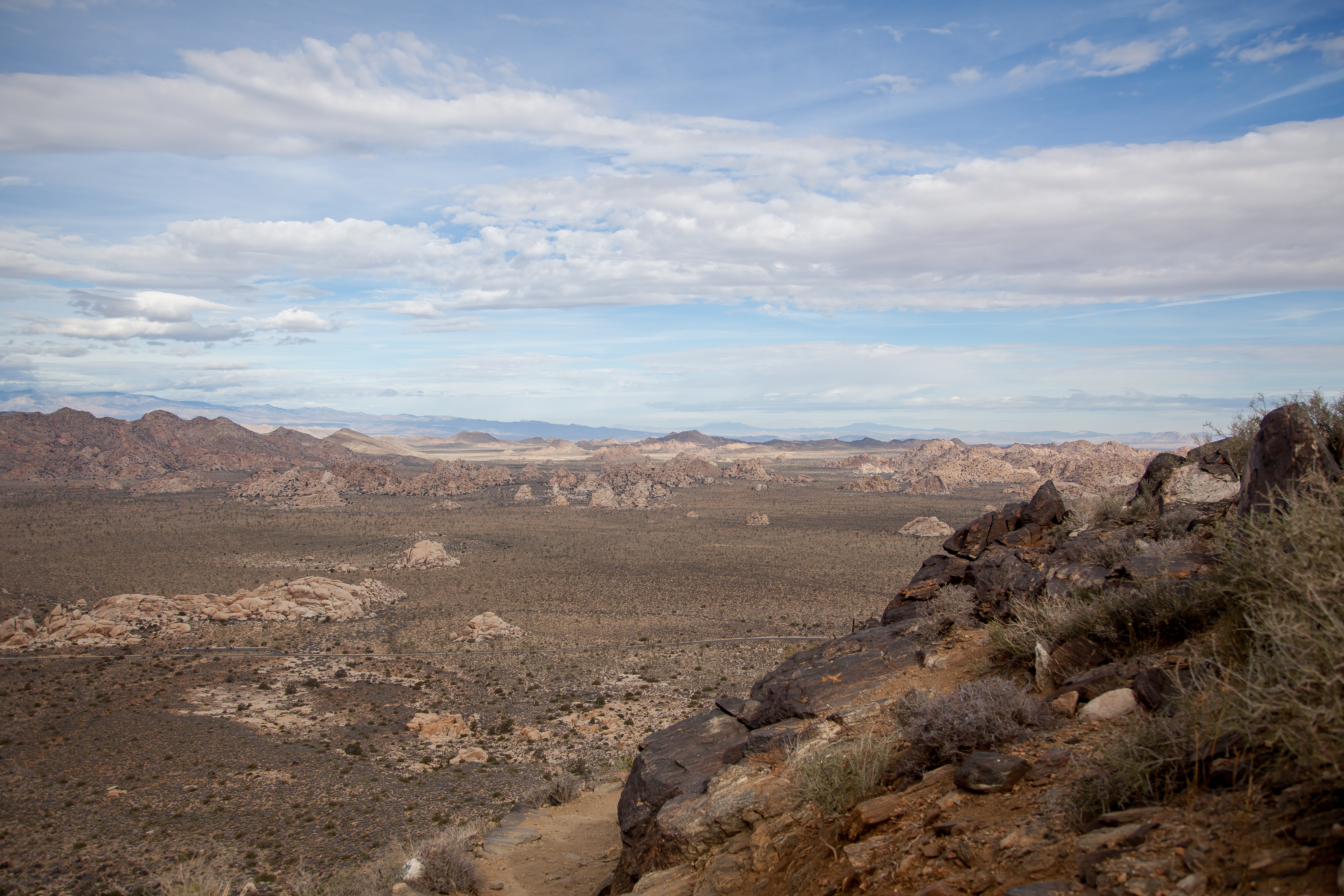 a view of the desert in Joshua Tree National Park