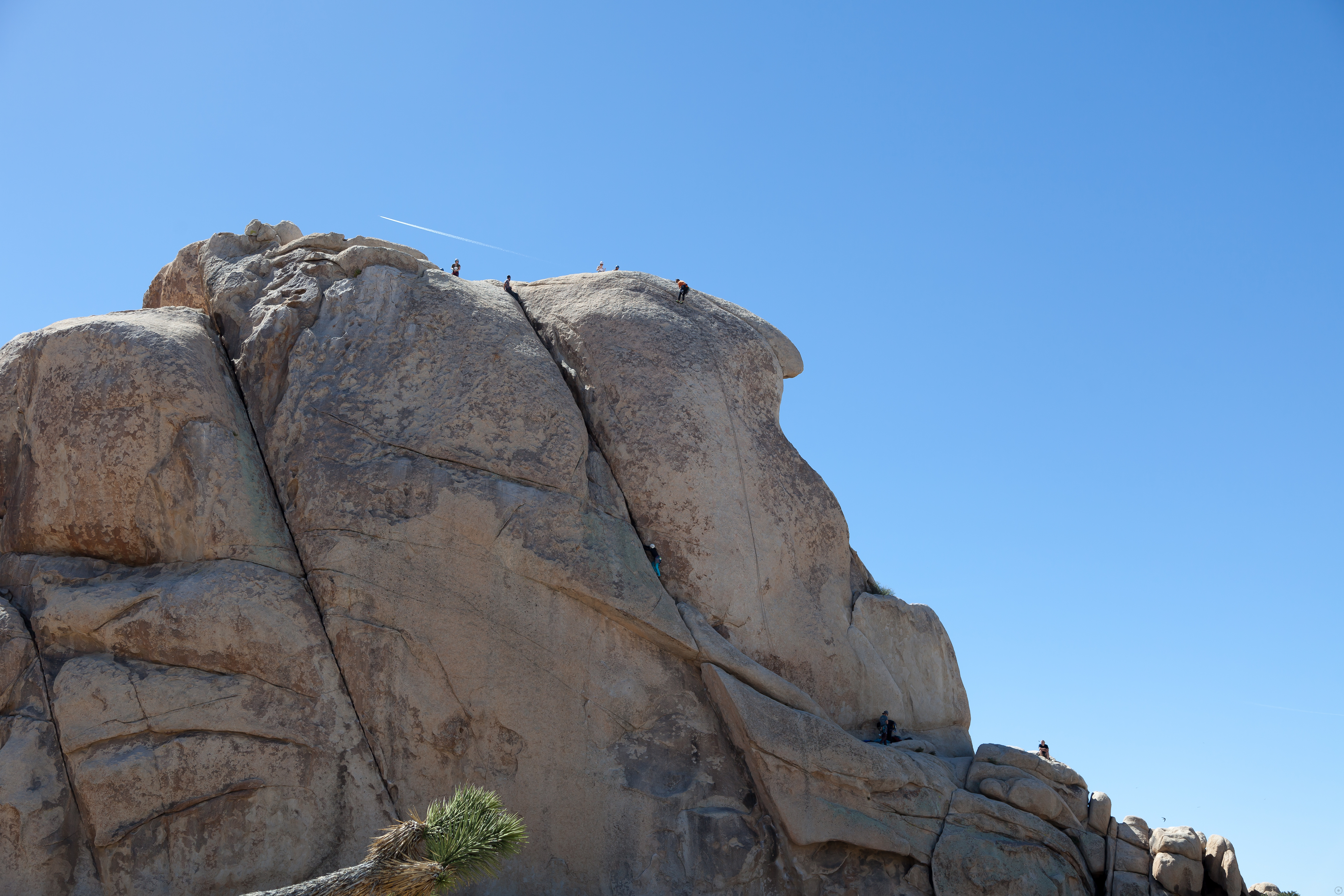 climbers at the top of Intersection Rock in Joshua Tree National Park
