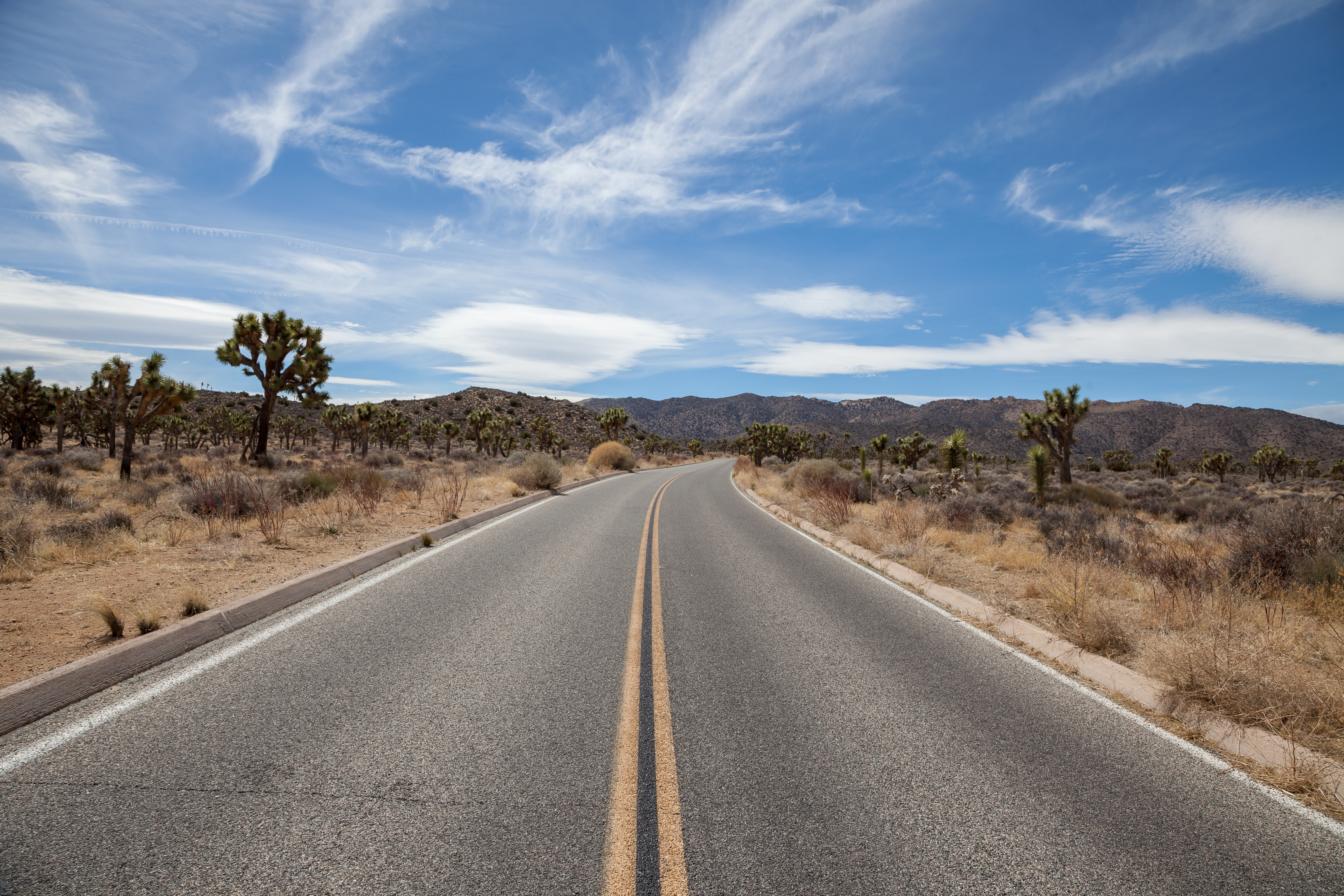 a road in Joshua Tree National Park