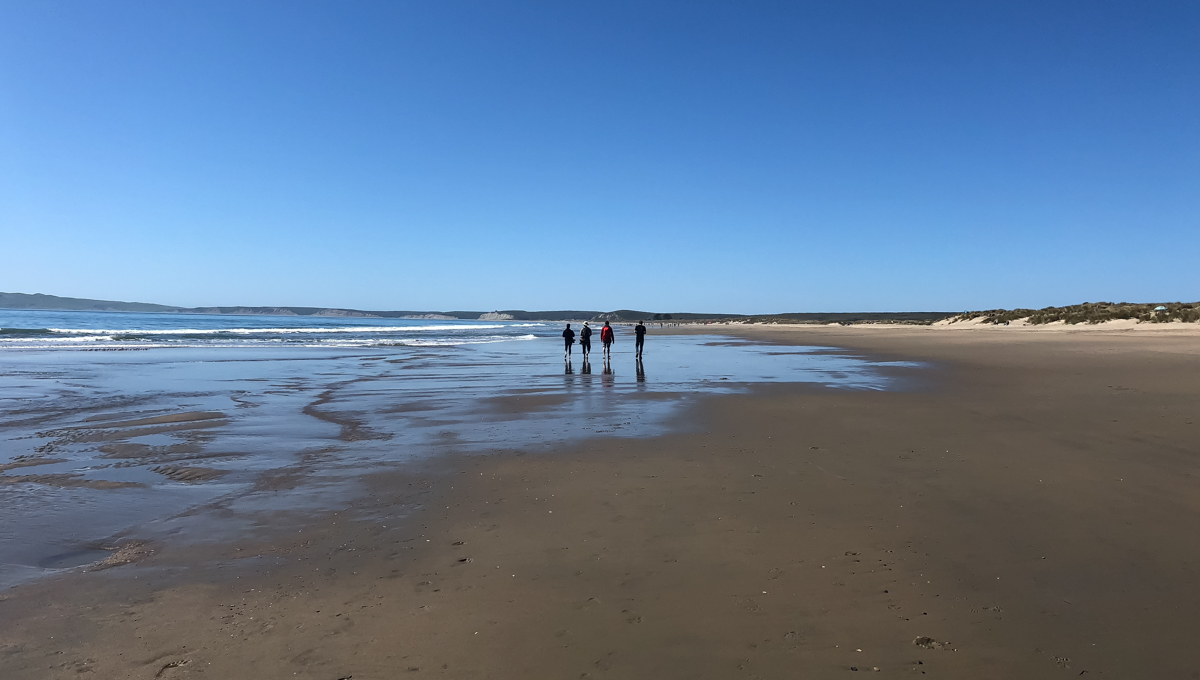 my friends walking along the beach